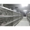 实验室动物笼-动物笼具-上海天翎供
