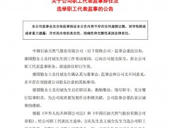 中国石油：廖国勤女士及付斌先生辞去公司职工代表监事职务